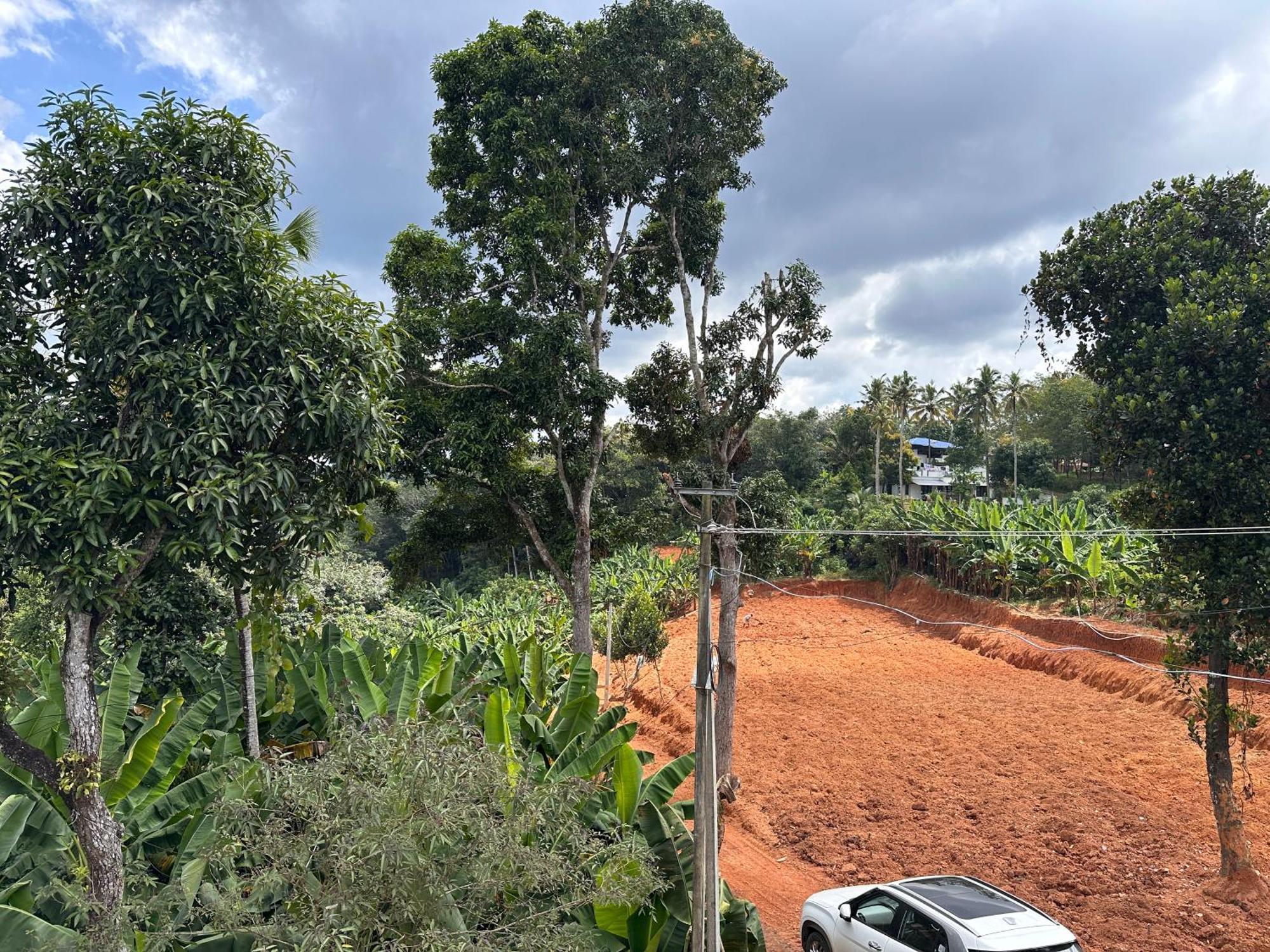 Kattil Farm Stay Varkala Thiruvananthapuram ภายนอก รูปภาพ