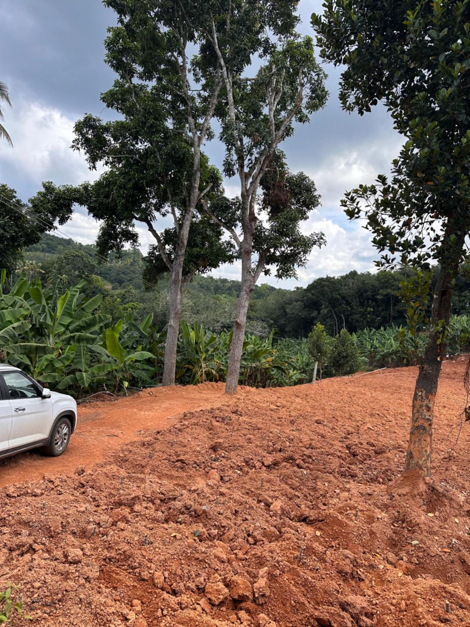 Kattil Farm Stay Varkala Thiruvananthapuram ภายนอก รูปภาพ